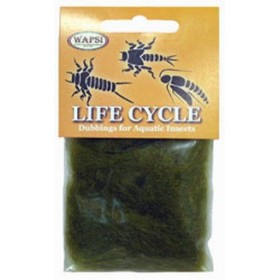 Dubbing Life Cycle - Nymph