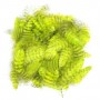 Grizzly marabou