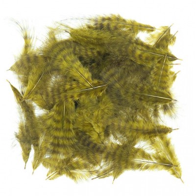 Grizzly marabou