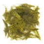 Grizzly marabou
