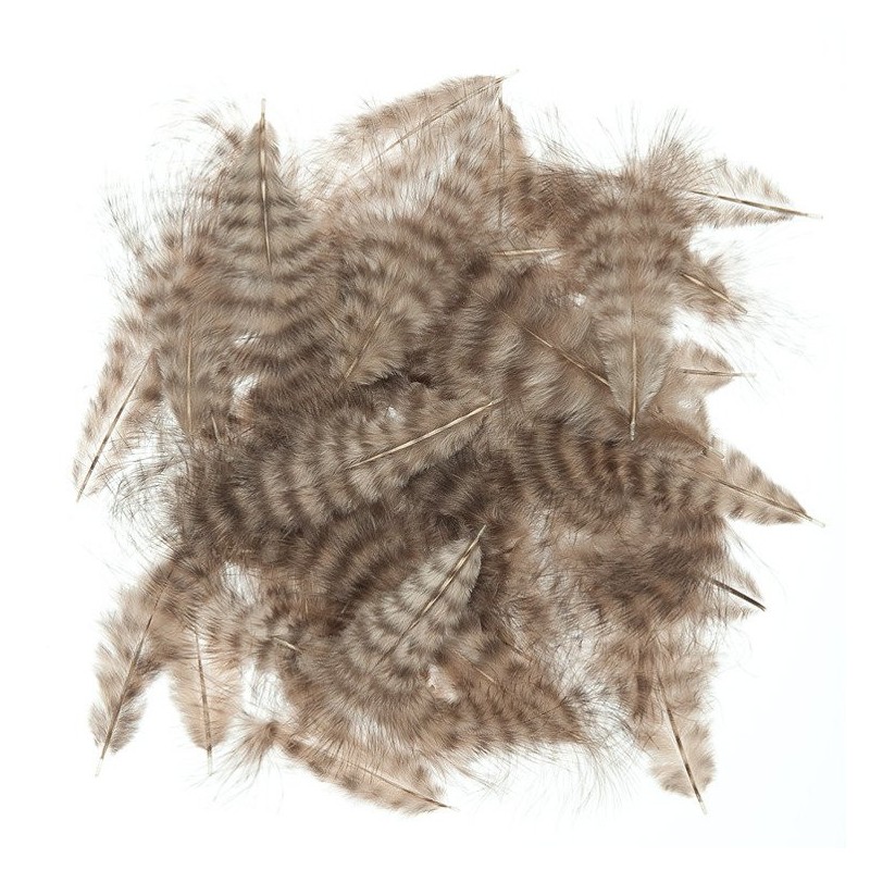 Grizzly marabou