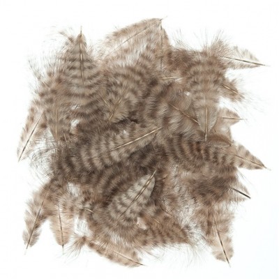 Grizzly marabou