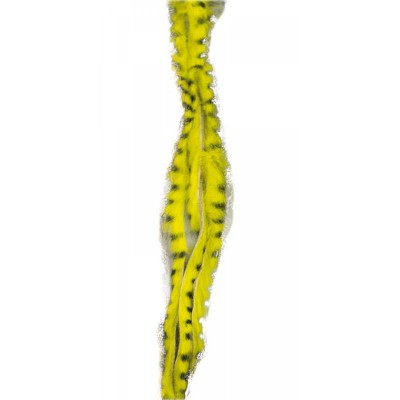 Zonker strips grizzly