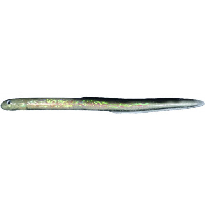 Silikonski vaba ALL BYRON 19 cm