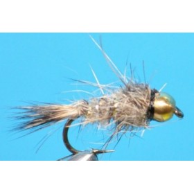 Gold Hares Ear tungsten