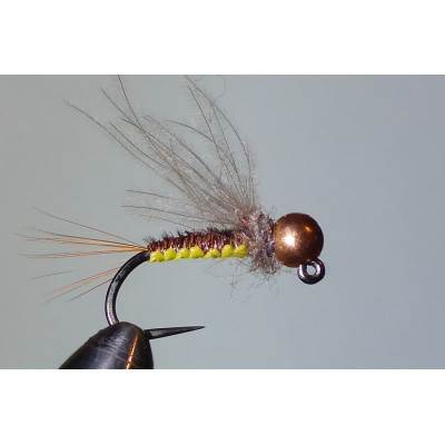 rjavo/rumena pletena ličinka - tungsten