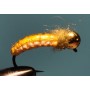Wowen p. cream pupa tungsten
